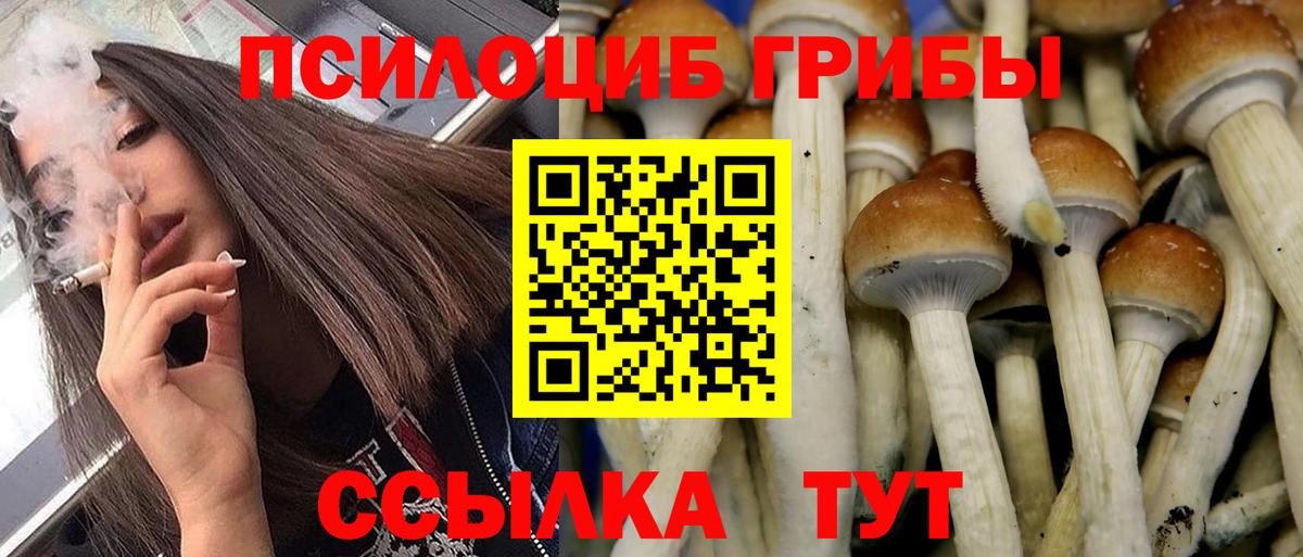 Калач-на-Дону  Псилоцибиновые грибы мухоморы  Вход с VPN 